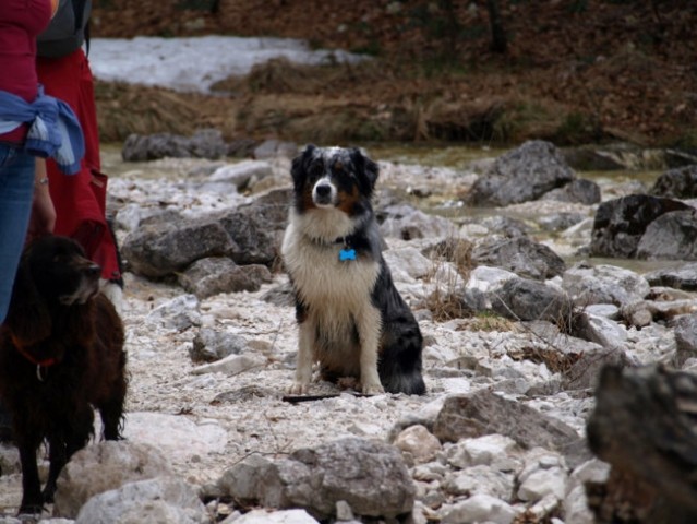 Maj 08; izvir Soče in Zadnja Trenta - foto