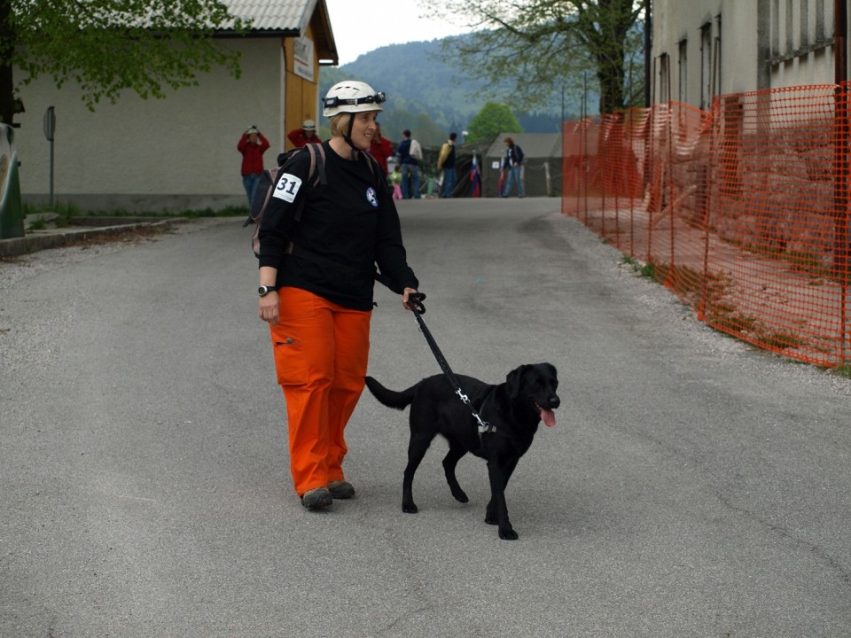1. državno prvenstvo reševalnih psov s prikaz - foto povečava