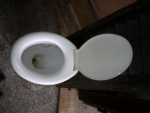 1. državno prvenstvo reševalnih psov s prikaz - foto