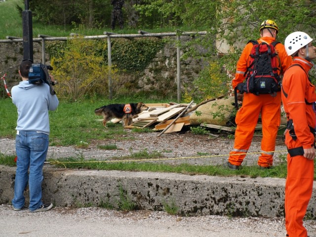 1. državno prvenstvo reševalnih psov s prikaz - foto