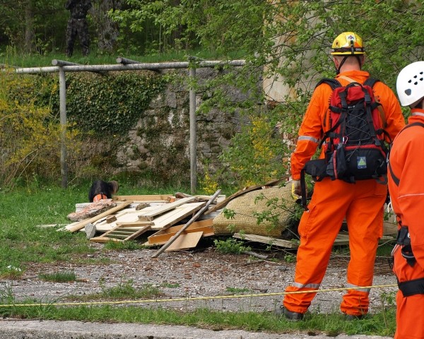 1. državno prvenstvo reševalnih psov s prikaz - foto