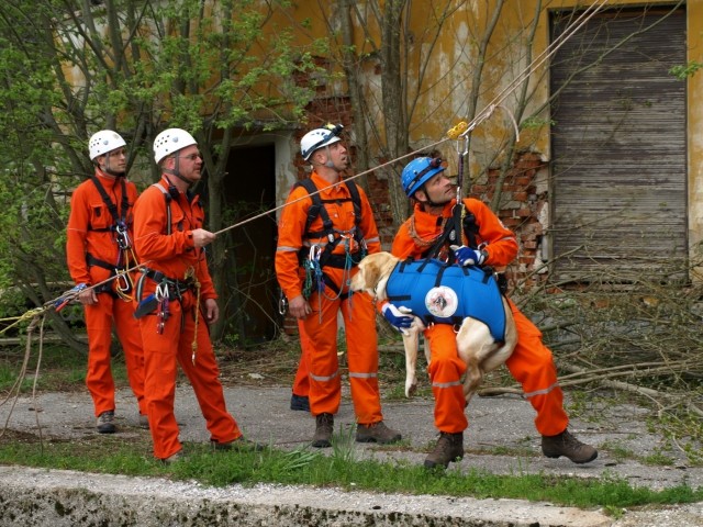 1. državno prvenstvo reševalnih psov s prikaz - foto