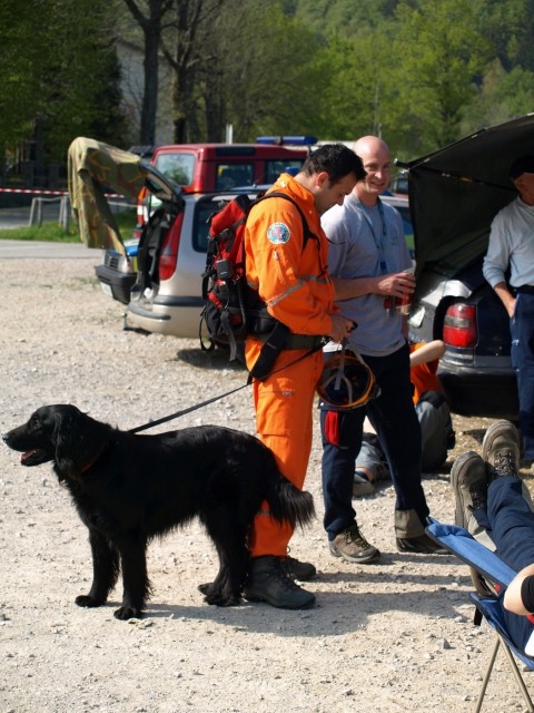 1. državno prvenstvo reševalnih psov s prikaz - foto