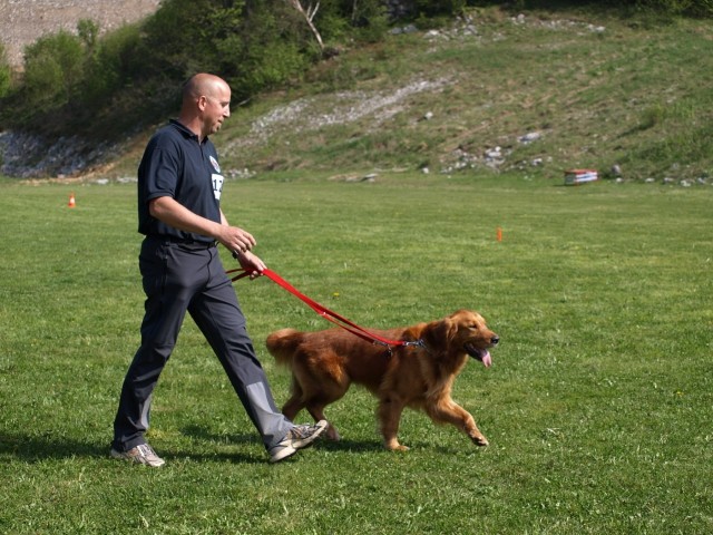 1. državno prvenstvo reševalnih psov s prikaz - foto