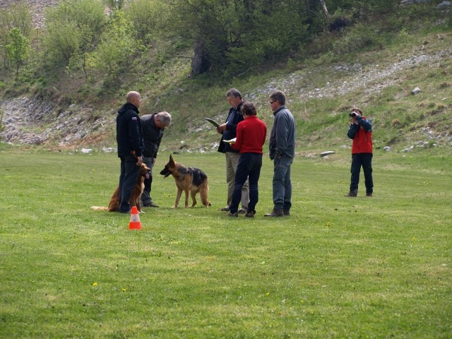 1. državno prvenstvo reševalnih psov s prikaz - foto