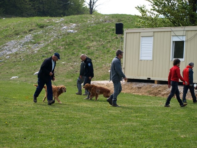 1. državno prvenstvo reševalnih psov s prikaz - foto
