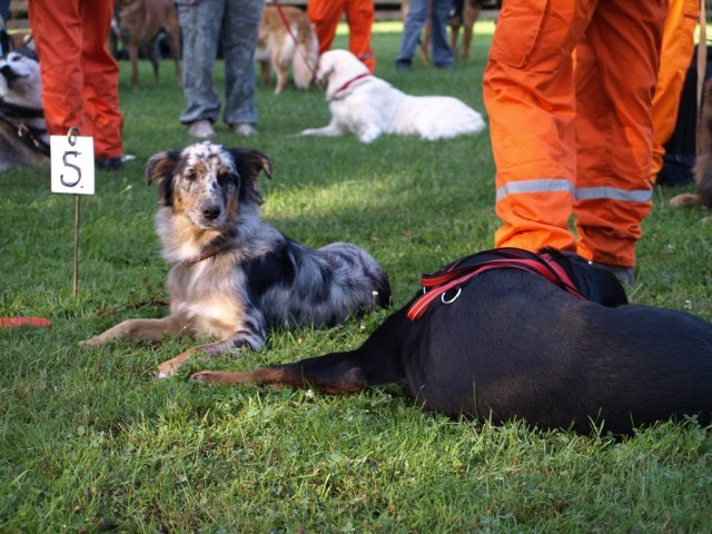 Tabor Varpolje 09 - foto