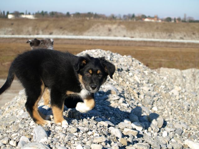 Mlada raziskovalca... - foto