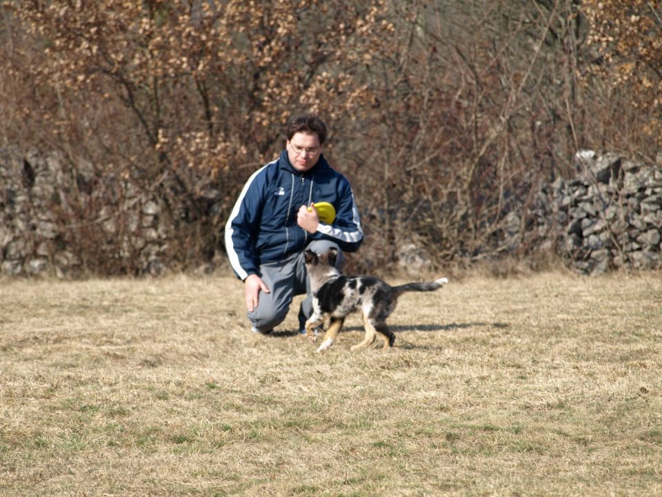 Frizbi seminar - foto povečava