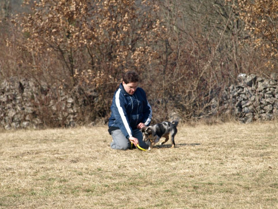 Frizbi seminar - foto povečava