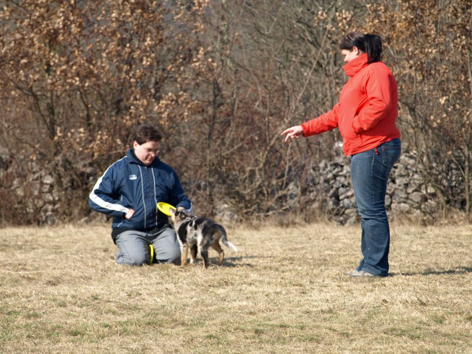 Frizbi seminar - foto povečava