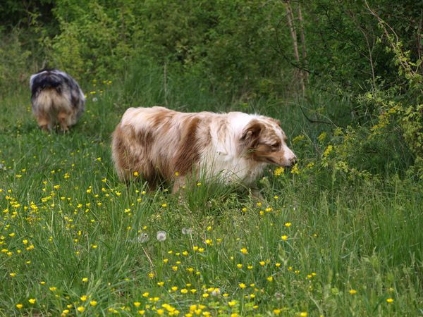 Sprehod na 1. maj - foto povečava