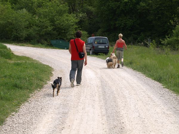 Sprehod na 1. maj - foto povečava