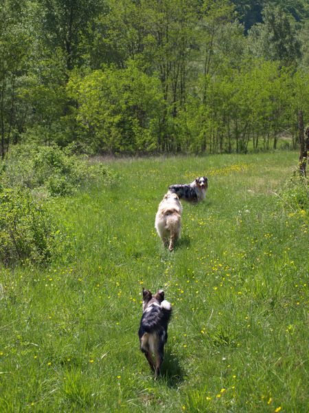 Sprehod 1. maj - 2. del - foto