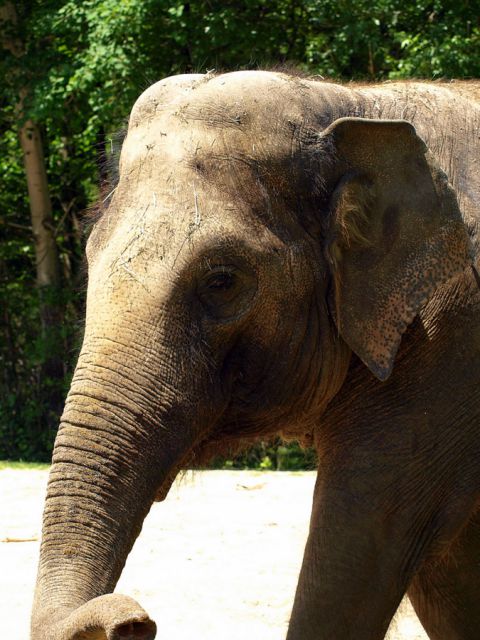 ZOO Ljubljana - foto