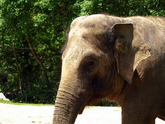 ZOO Ljubljana - foto