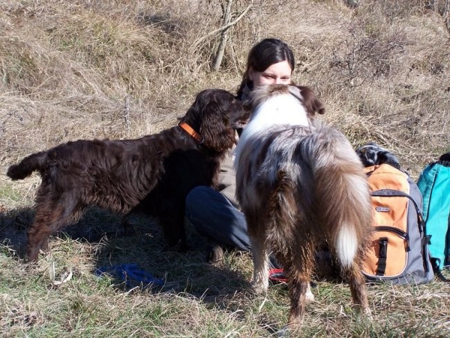 Sprehod po zaledju naše obale 27.1.07 - foto povečava