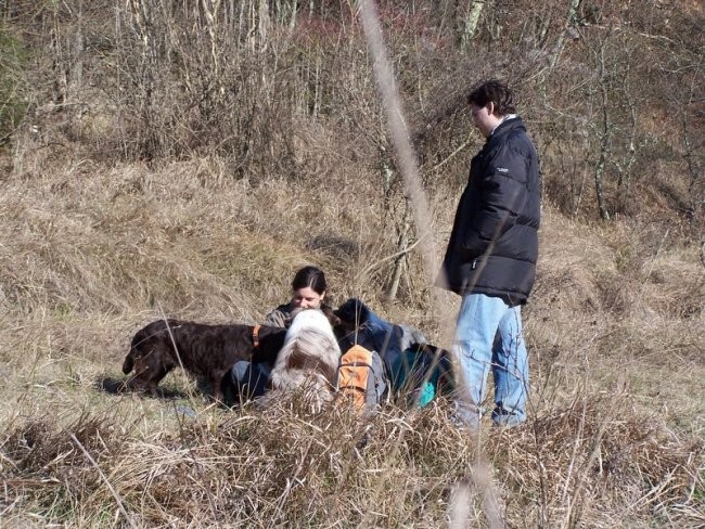 Sprehod po zaledju naše obale 27.1.07 - foto povečava