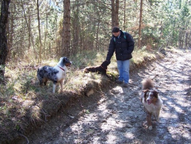 Sprehod po zaledju naše obale 27.1.07 - foto