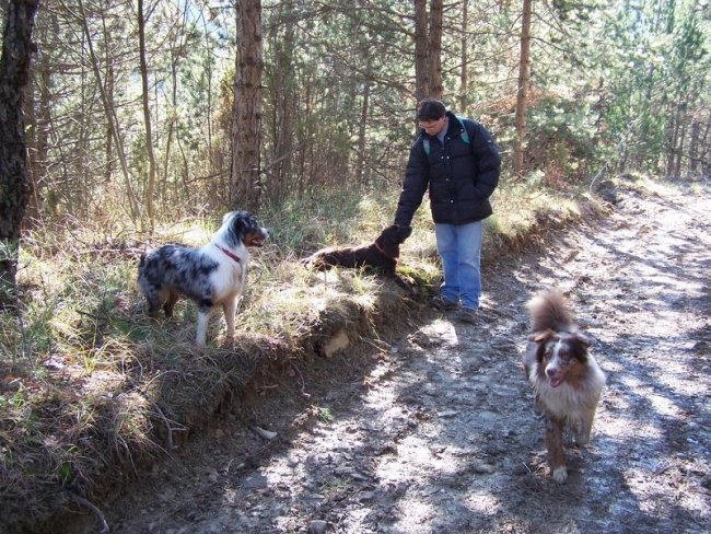 Sprehod po zaledju naše obale 27.1.07 - foto povečava