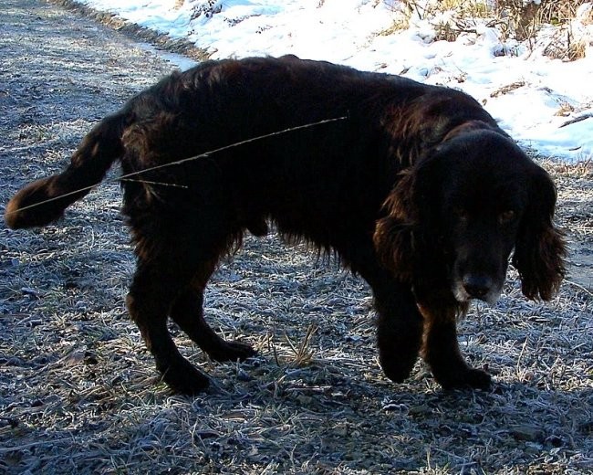 Sprehod po zaledju naše obale 27.1.07 - foto povečava