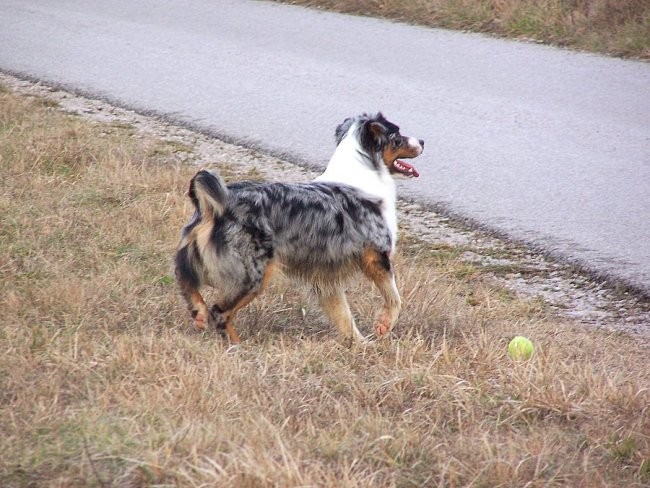 14.2.2007 - foto povečava