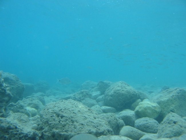 Pod vodo - foto povečava