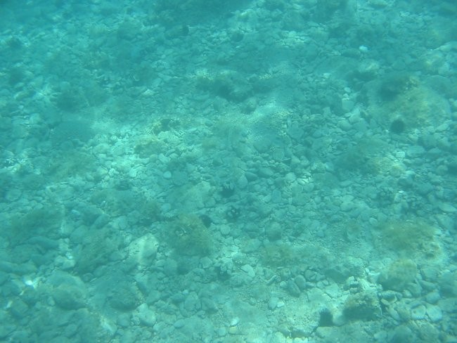 Pod vodo - foto povečava