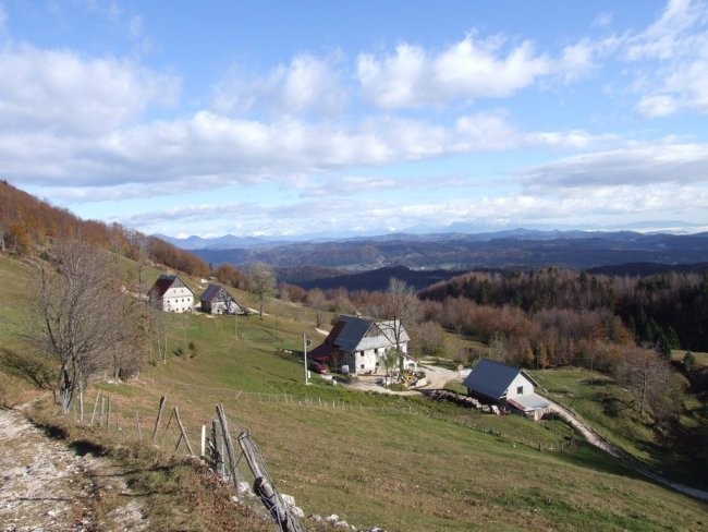 Javornik - foto povečava