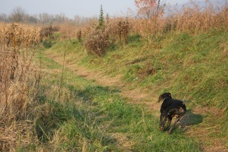 Cacit 29.10.2005 - foto povečava