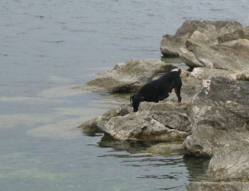 Strmecka ekipa - foto povečava