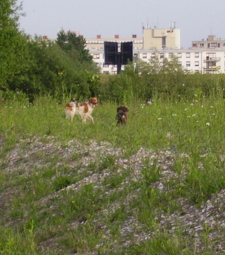 Strmecka ekipa - foto povečava