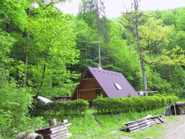 Poribljavanje 2005- Kuželjska belica - foto povečava