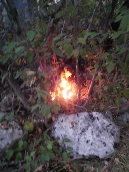 ŠD V6 Krško - foto povečava