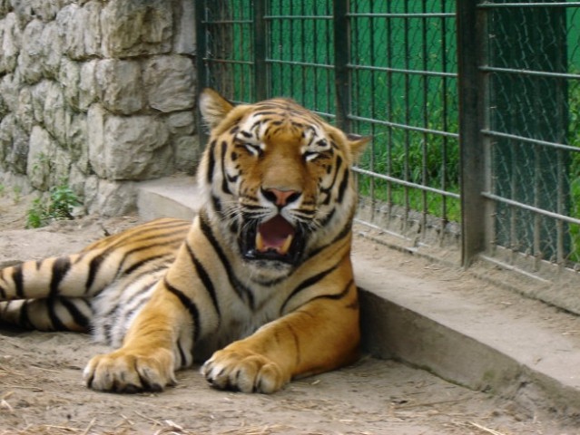 ZOO Zagreb - foto