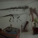 Muzej dinozavrov, Savannakhet.
