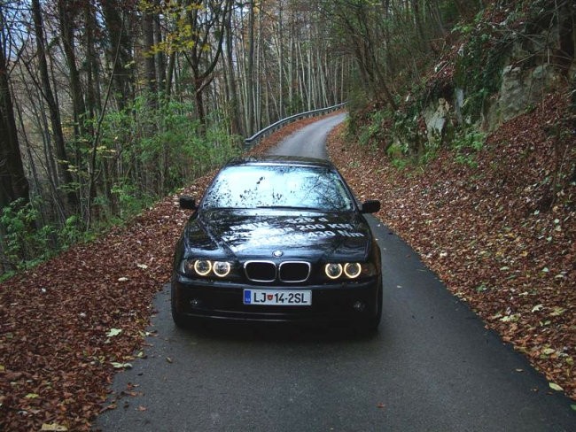 525d - foto povečava