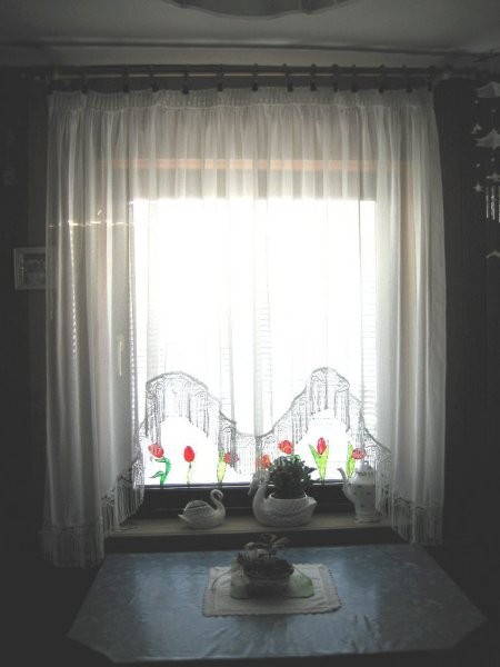 Malce slabša slika, se pa vidijo tulipani na maminem oknu :)