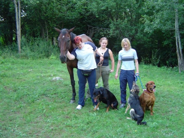 Pisana druščina :
ljudje, konj in psi