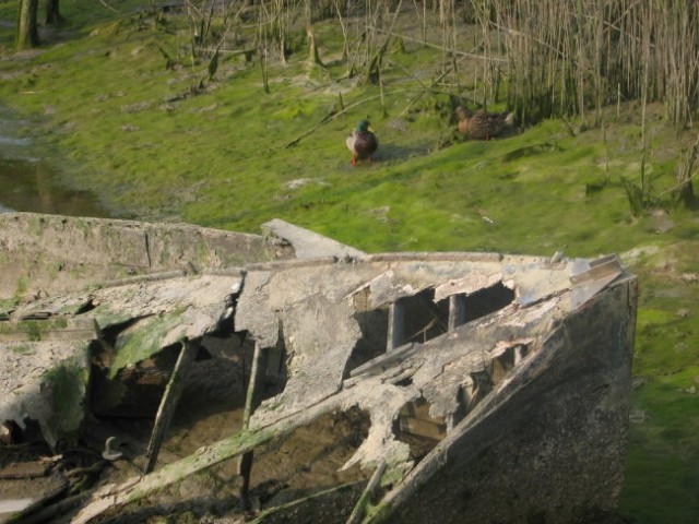 Koper - savudrija marec 2007 - foto