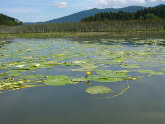 Cerkniško jezero 07 - foto