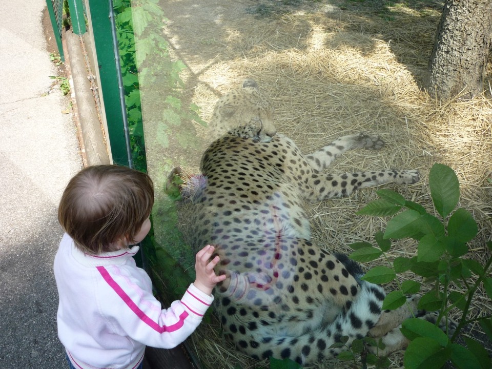 2.5.09 ZOO Zagreb - foto povečava