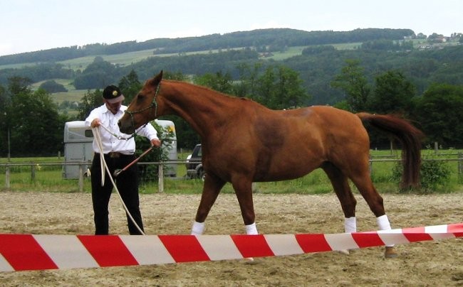 Uncas - foto povečava