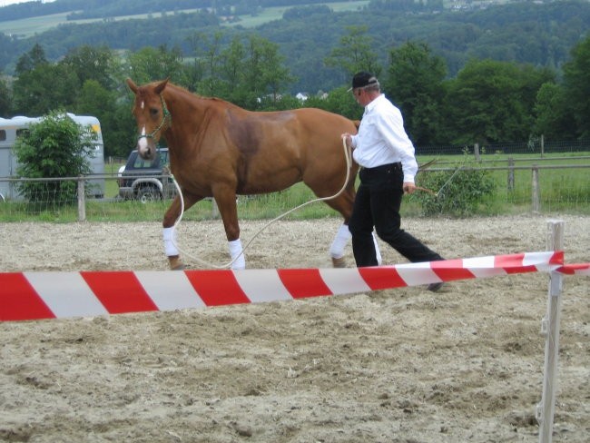 Uncas - foto povečava