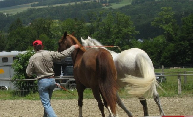 Uncas - foto povečava