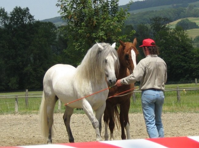 Uncas - foto povečava