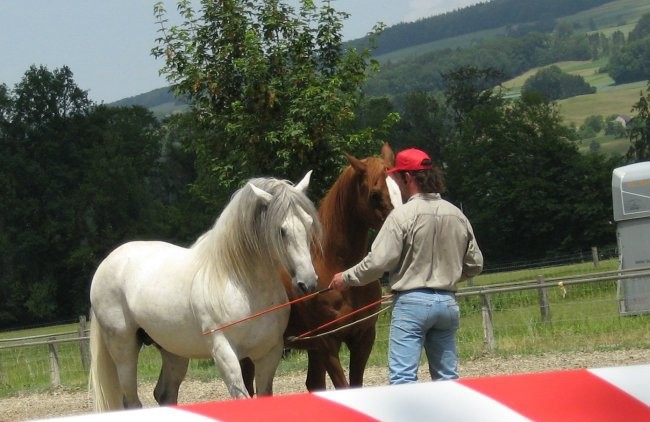 Uncas - foto povečava