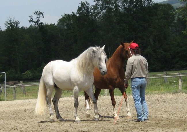 Uncas - foto povečava