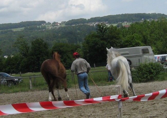 Uncas - foto povečava