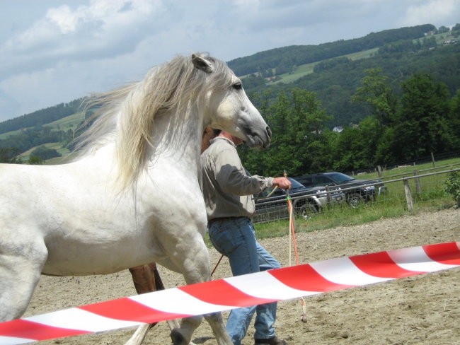 Uncas - foto povečava